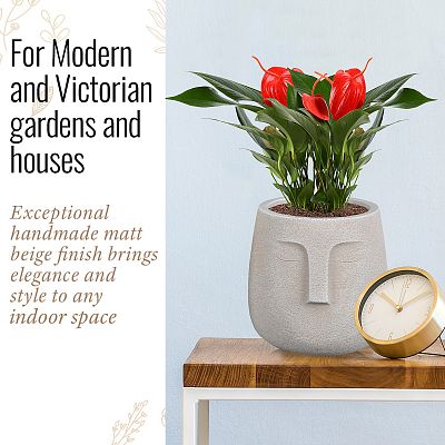 IDEALIST Lite Textured Concrete Effect Oval Indoor Face Pot