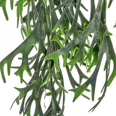 Staghorn Hanging Flame Retardant Artificial Branch Plant