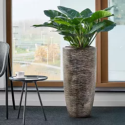 Luxe Lite Universe Wrinkle Tall Indoor Planter
