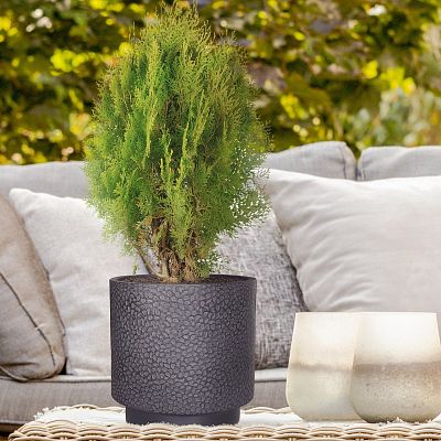 IDEALIST Lite Hammered Stone Cylinder Outdoor Planter