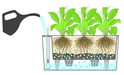 LECHUZA DELTA 10|DELTA 20 Poly Resin Indoor Self-watering Planter