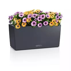LECHUZA BALCONERA Color Trough Poly Resin Self-watering Planter