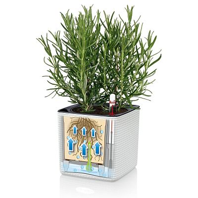 LECHUZA CUBE Color Square Poly Resin Indoor Self-watering Planter