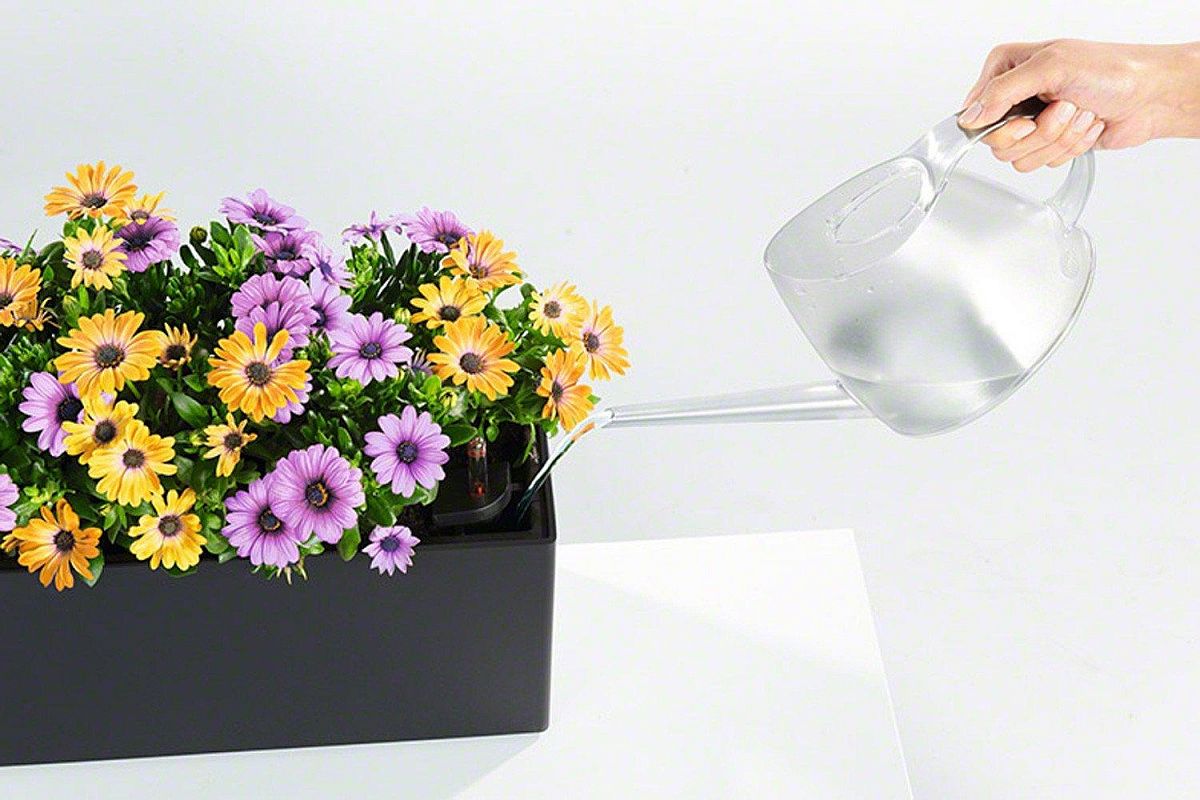 LECHUZA BALCONERA Cottage Trough Poly Resin Self-watering Planter Set
