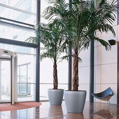 LECHUZA CLASSICO Round Poly Resin Self-watering Planter with Substrate