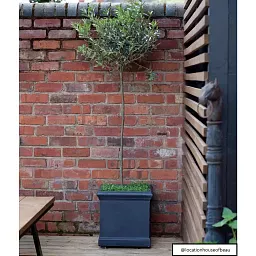 IDEALIST Lite Victorian Box Square Light Stone Outdoor Planter