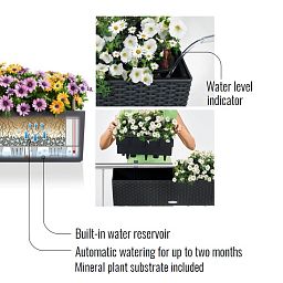 LECHUZA BALCONERA Cottage Trough Poly Resin Self-watering Planter Set