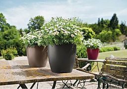 LECHUZA CLASSICO Color Round Poly Resin Self-watering Planter