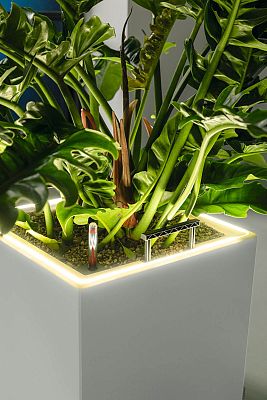 LECHUZA CANTO Premium High LED Square Tall Poly Resin Self-watering Planter