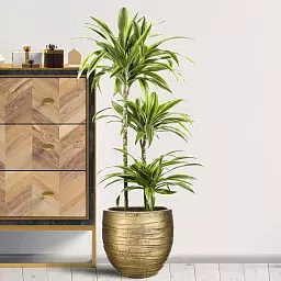 IDEALIST Lite Row Style Round Indoor Planter