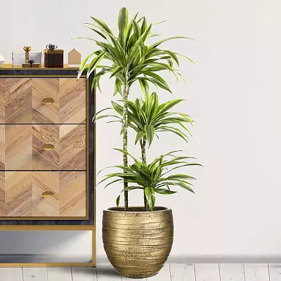 IDEALIST Lite Row Style Round Indoor Planter