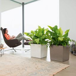 LECHUZA CUBE Square Poly Resin Self-watering Planter
