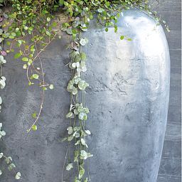 Fleur Ami Loft Roomdivider planter