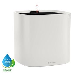 LECHUZA PILA Color Square Poly Resin Self-watering Planter