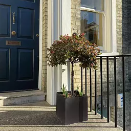 IDEALIST Lite Square Box Contemporary Light Concrete Planter Set