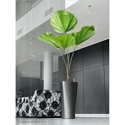 LECHUZA Delta Round Tall Poly Resin Self-watering Planter