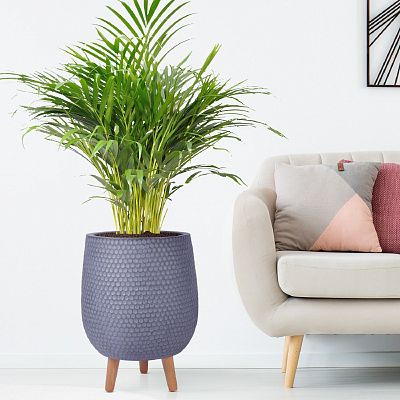 IDEALIST Lite Honeycomb Style Egg Planter on Legs, Round Pot Plant Stand Indoor