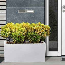IDEALIST Lite Contemporary Light Concrete High Trough Planter