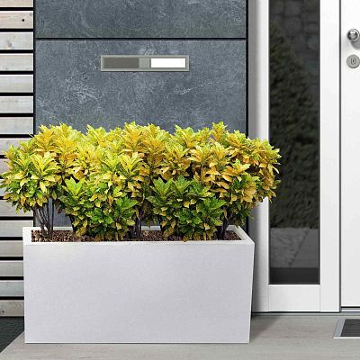 IDEALIST Lite Contemporary Light Concrete High Trough Planter