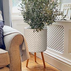 Dotted Style Cylinder Indoor Planter on Legs by Idealist Lite