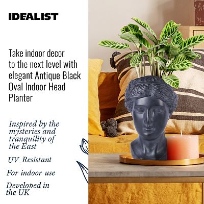 Antique Oval Face Plant Pot Indoor by Idealist Lite