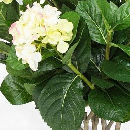 Hydrangea Artificial Flower Plant