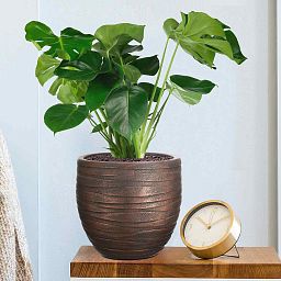 IDEALIST Lite Row Style Round Indoor Planter