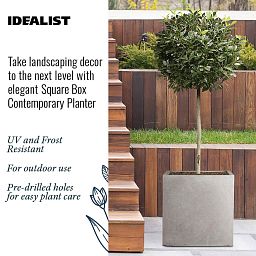 IDEALIST Lite Square Box Contemporary Light Concrete Planter