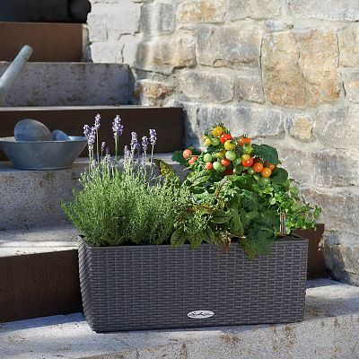 LECHUZA BALCONERA Cottage Trough Poly Resin Self-watering Planter