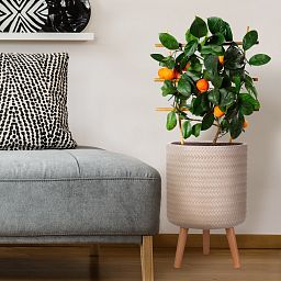 IDEALIST Lite Plaited Style Cylinder Planter on Legs, Round Pot Plant Stand Indoor