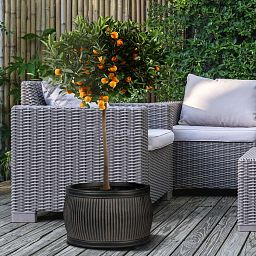 IDEALIST Lite Vertical Ribbed Vintage Style Barrel Round Planter