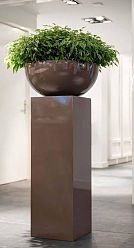 Ceramic Bowl Glossy Planter Pot In/Out