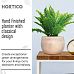 HORTICO ECO Wooden House Planter Round Indoor Plant Pot for House Plants with Waterproof Liner