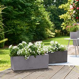LECHUZA BALCONERA Stone Trough Poly Resin Self-watering Planter