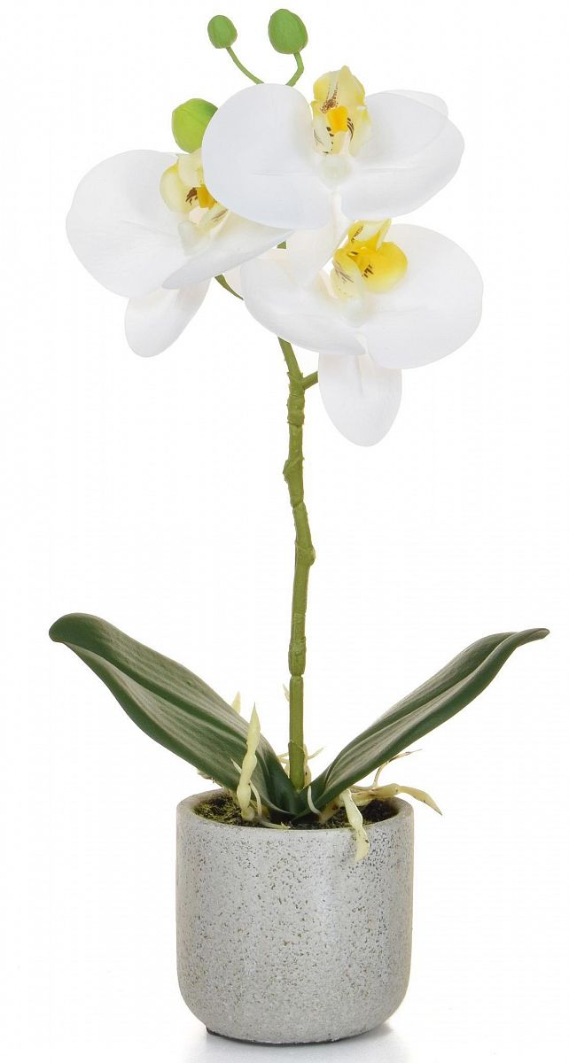 AN-Phalaenopsis Real Touch in Pot Artificial Flower Plant