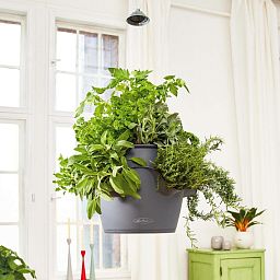 LECHUZA CASCADINO Suspension Accessory