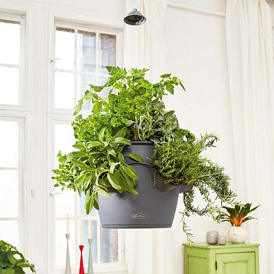 LECHUZA CASCADINO Suspension Accessory