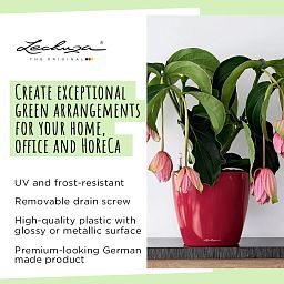 LECHUZA CLASSICO LS Round Poly Resin Self-watering Planter