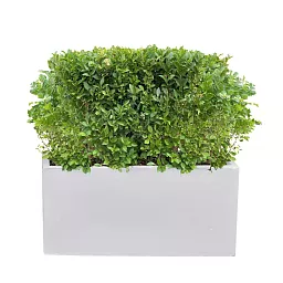 IDEALIST Lite Contemporary Light Concrete Trough Planter