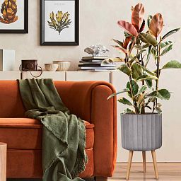 IDEALIST Lite Modern Ribbed Cylinder Planter on Legs, Round Pot Plant Stand Indoor
