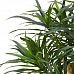 DRACAENA REFLEXA Artificial Tree Plant