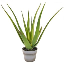 Aloe with Pot Artificial Flower Plant