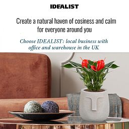 IDEALIST Lite Textured Concrete Effect Oval Indoor Face Pot