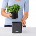 LECHUZA CUBE Color Square Poly Resin Indoor Self-watering Planter Set