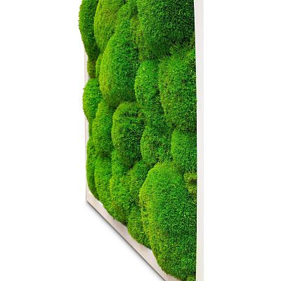 PREMIUM Moss Wall Art Artificial Moss Plant
