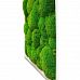 PREMIUM Moss Wall Art Artificial Moss Plant