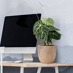 HORTICO RADIAL Wooden House Planter Round Indoor Plant Pot for House Plants with Waterproof Liner