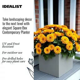 IDEALIST Lite Square Box Contemporary Light Concrete Planter