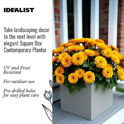 IDEALIST Lite Square Box Contemporary Light Concrete Planter