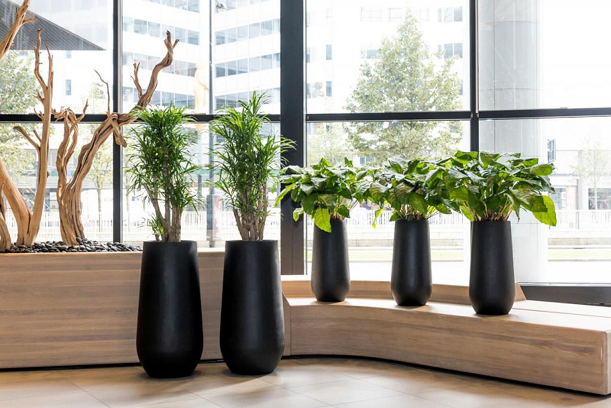 Fibrestone Nax Tall Planter by Idealist Premium